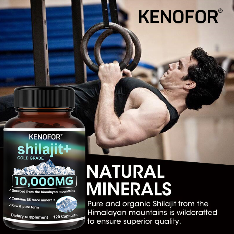 Himalayan Shilajit Capsules 10 - Shilajit Resin Pure review and price