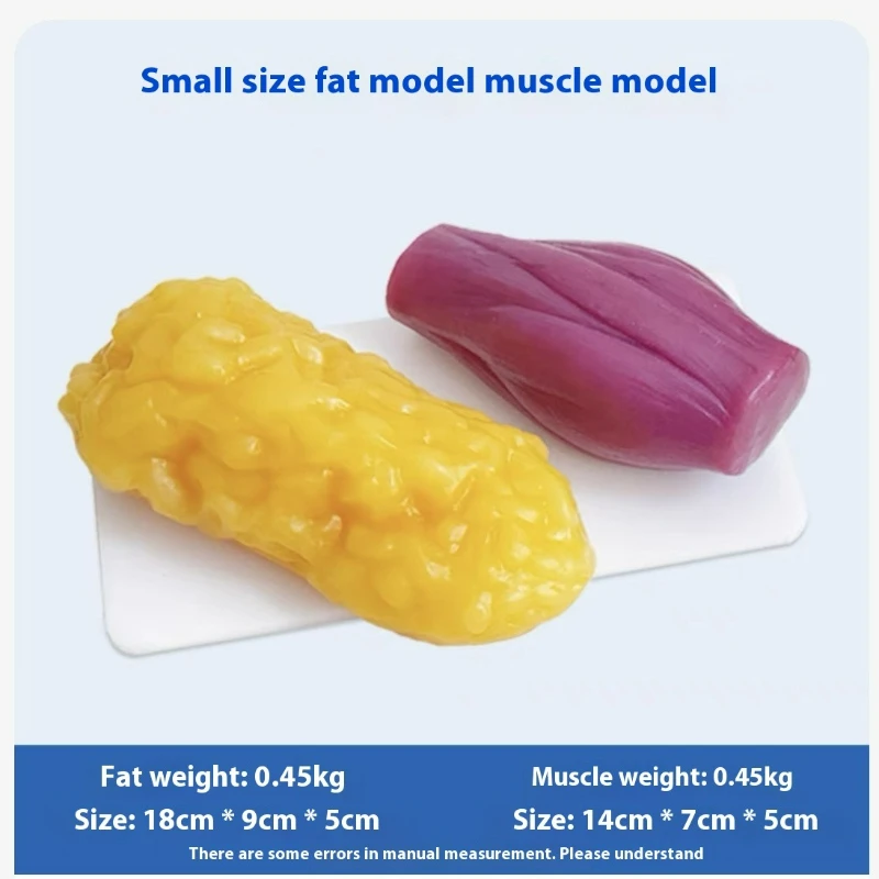 Human Muscle and Fat Replicas  - Nutrition Fitness review and price