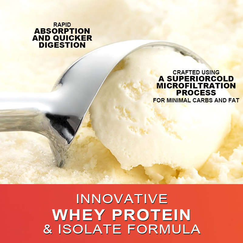 Gold Standard Whey Protein Pow - Fitness Nutrition Protein review and price